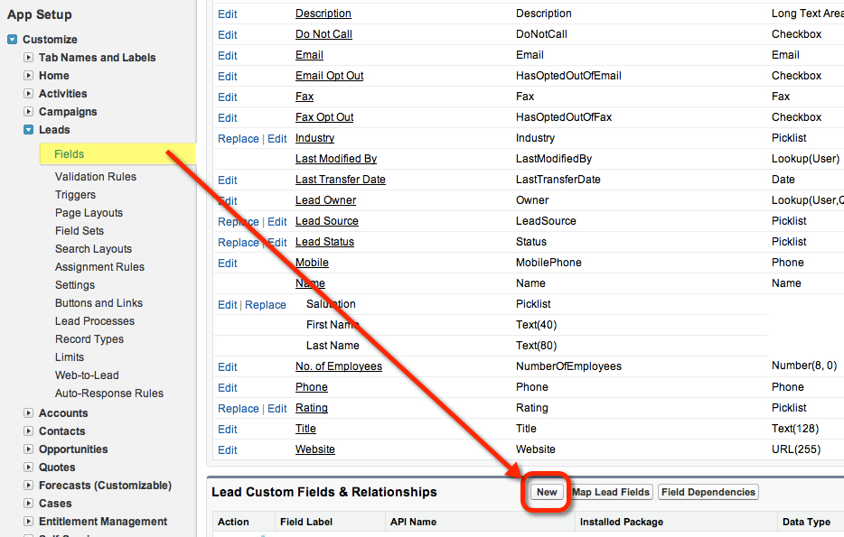 Create Custom New Lead Field