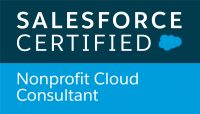 Nonprofit Cloud Consultant