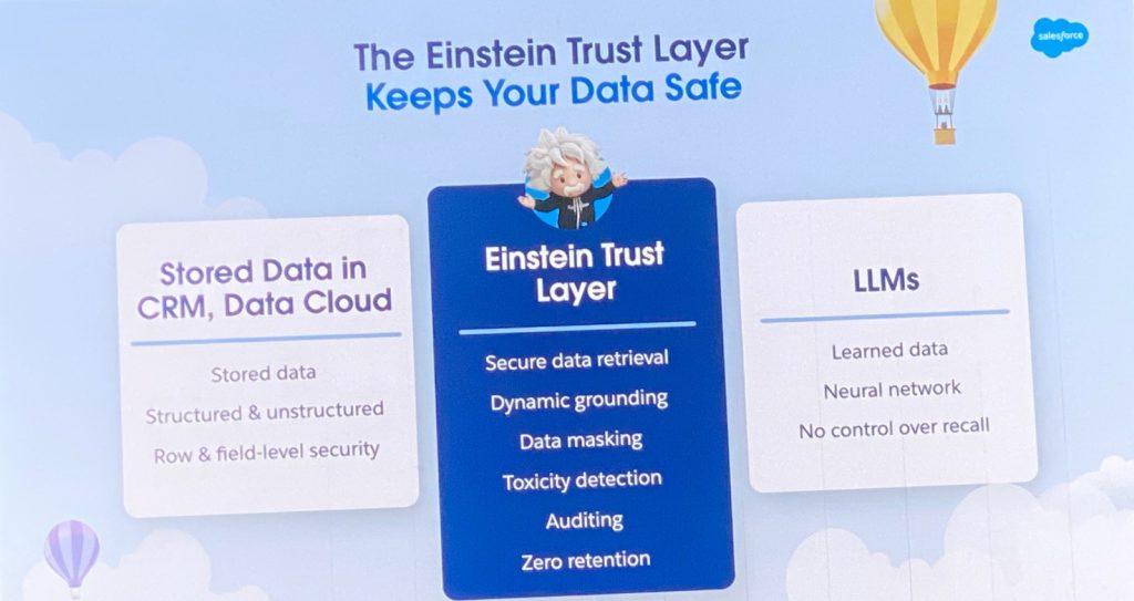 Einstein Trust layer